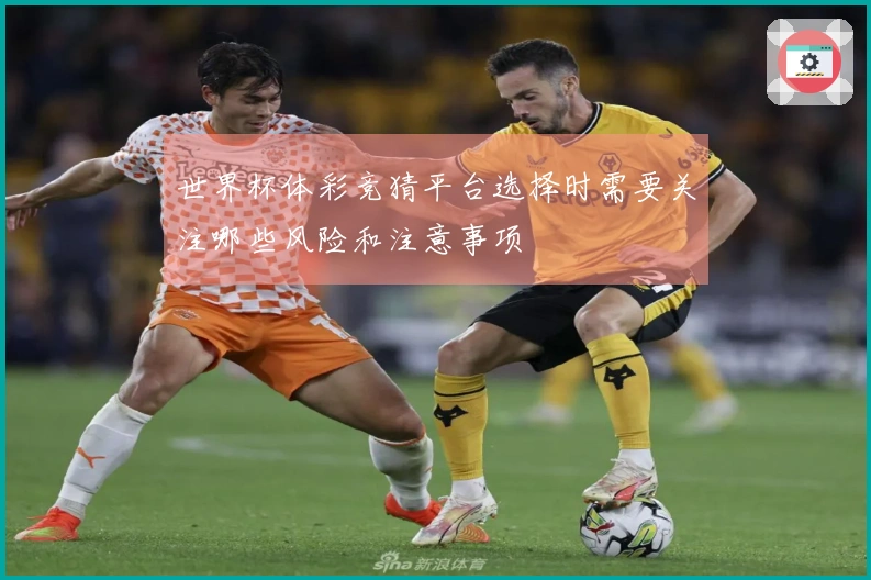 世界杯体彩竞猜平台选择时需要关注哪些风险和注意事项