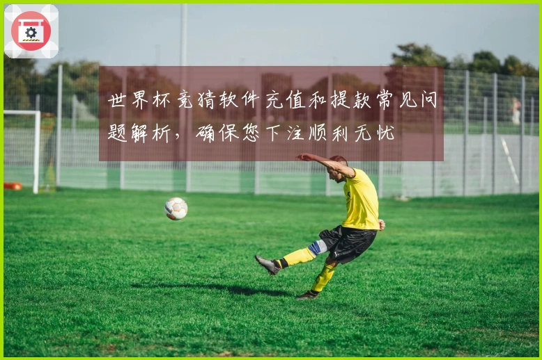 世界杯竞猜软件充值和提款常见问题解析，确保您下注顺利无忧