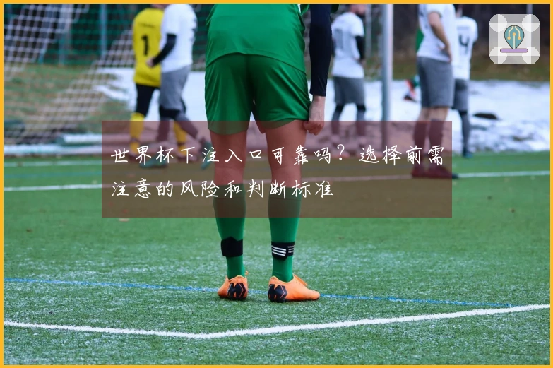 世界杯下注入口可靠吗？选择前需注意的风险和判断标准