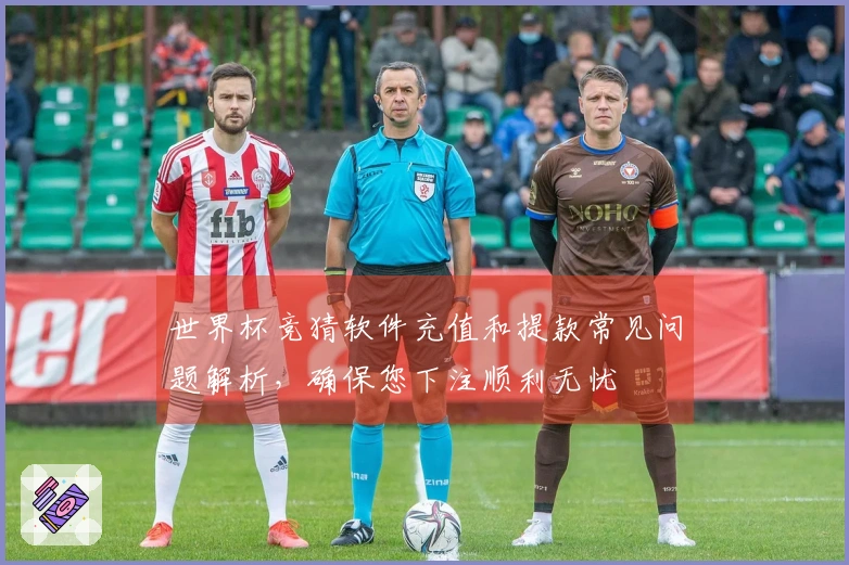 世界杯竞猜软件充值和提款常见问题解析，确保您下注顺利无忧